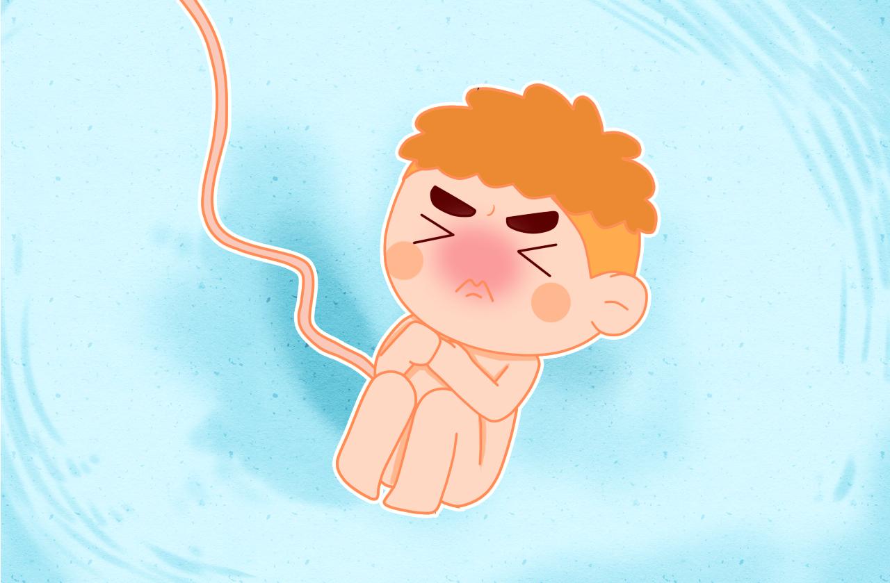 怎样读懂胎动,如何通过胎动判断宝宝姿势