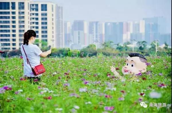 紫色薰衣草海洋,薰衣草花海摩天轮