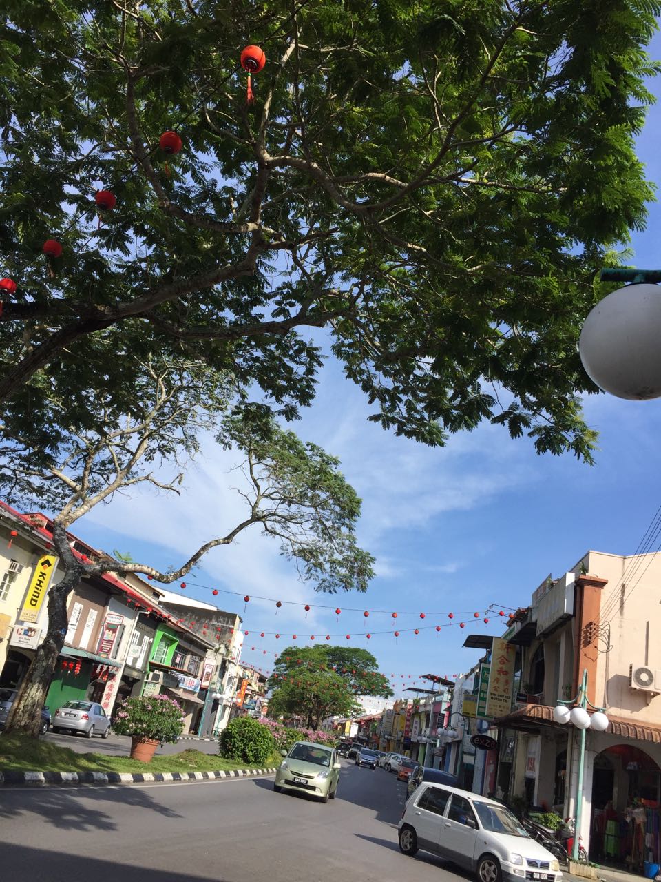 记录马来西亚原始森林,马来西亚古晋的最后一天