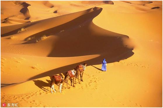 中国公司通过向农民介绍团购进入摩洛哥市场