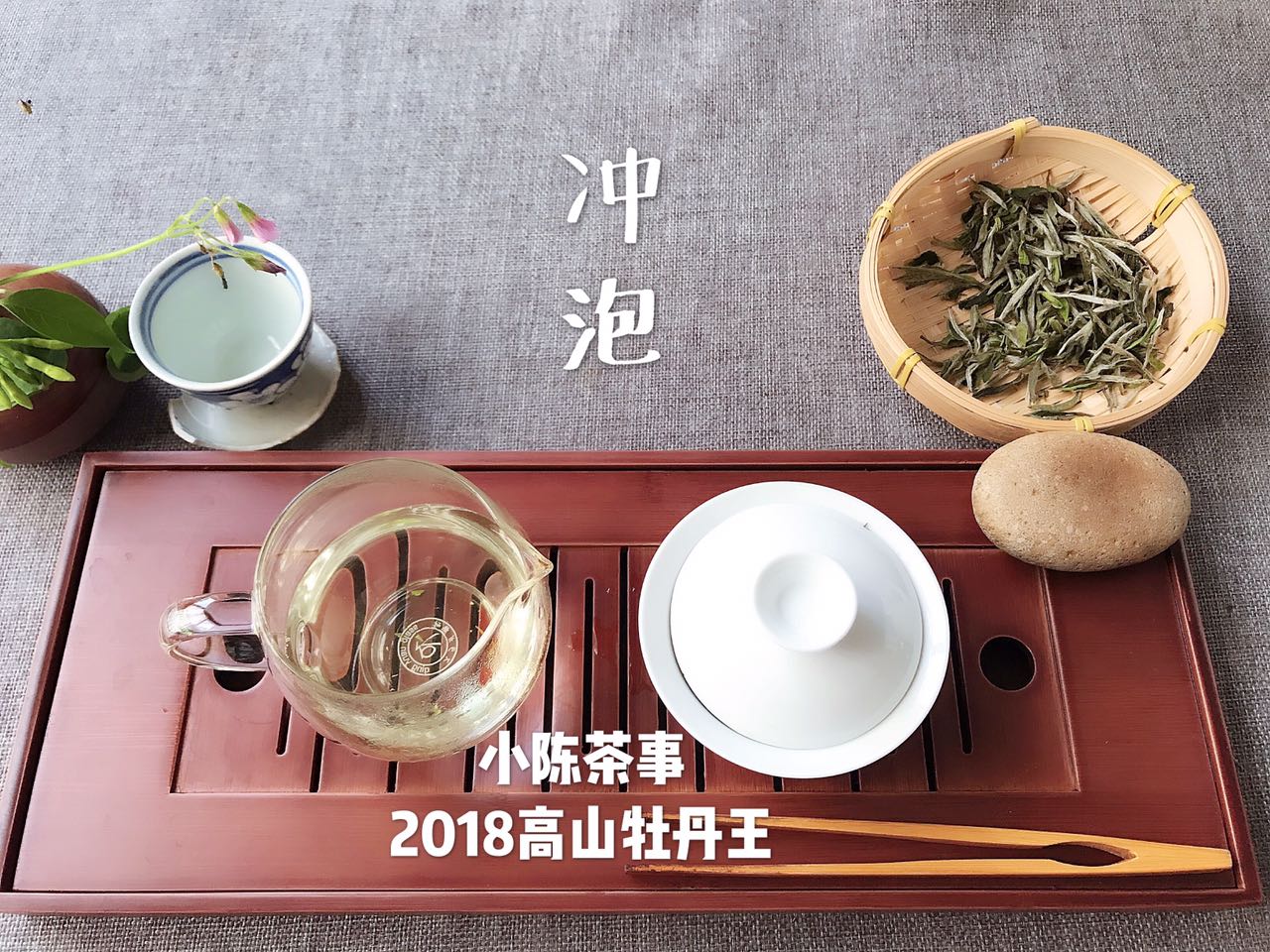 为啥白茶泡起来苦,为什么白茶煮煮就黑了