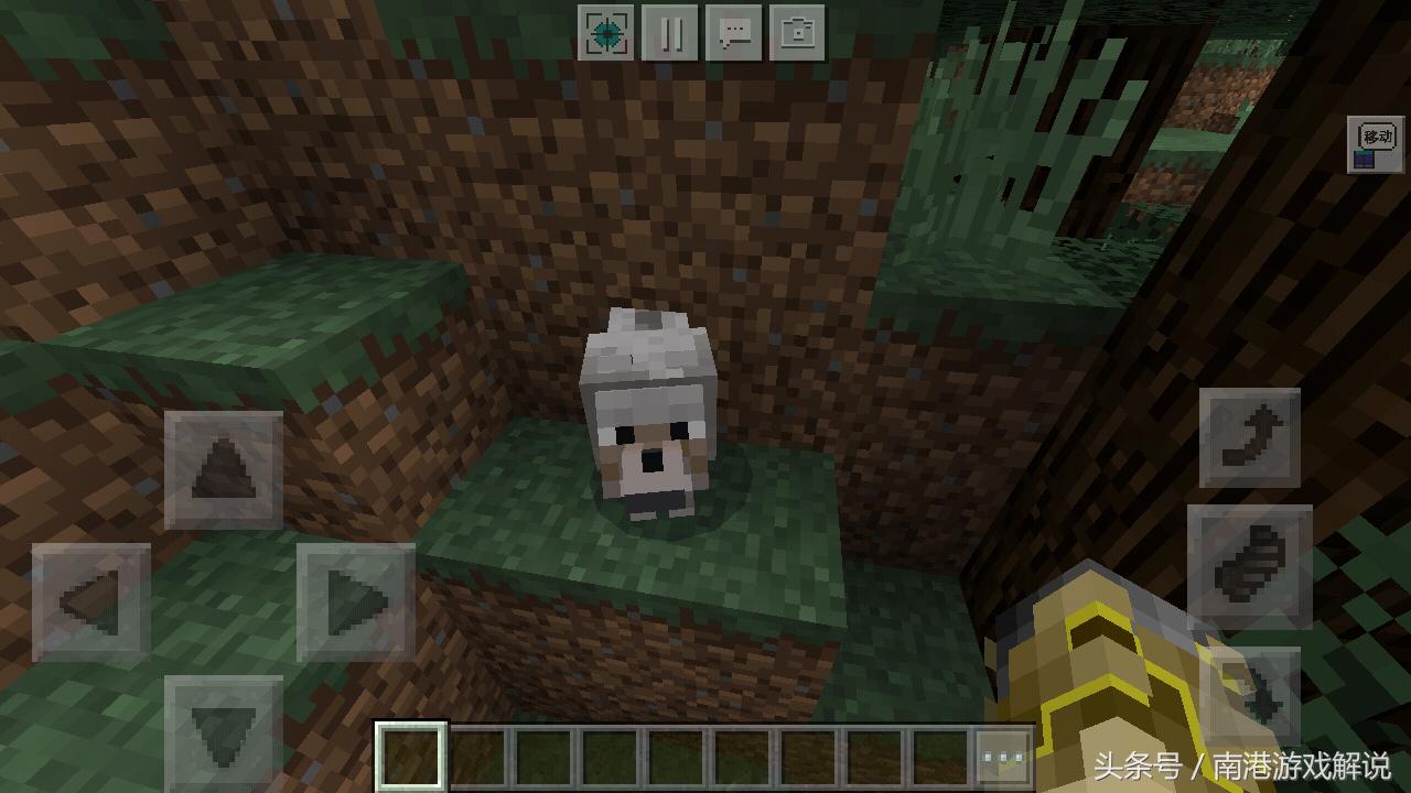 我的世界蘑菇岛小岛种子,我的世界雨林里的巨型树种子