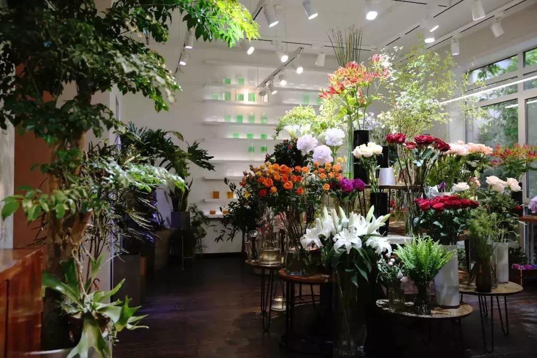 不爱回家探店,北京网红花店有哪些