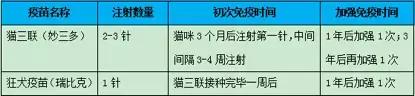 什么情况下给猫咪打疫苗,猫咪疫苗第一针和第二针最长间隔