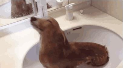 洗澡时最容易犯的几种错误！90%的人至少犯过一种