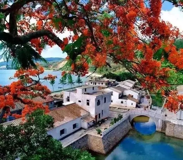 深圳比较好的渔村,深圳海边渔村哪里好