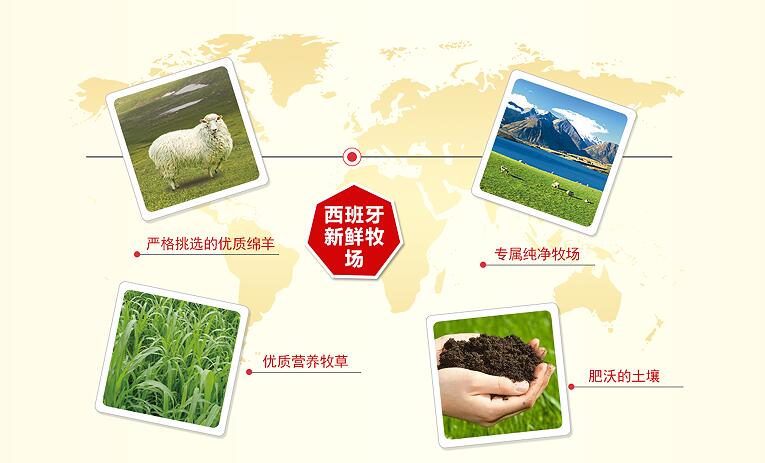 百跃谱恩绵羊奶粉,谱恩绵羊奶粉2段和3段