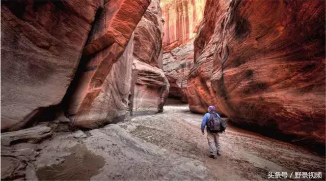 父子徒步登山,父子徒步旅行记