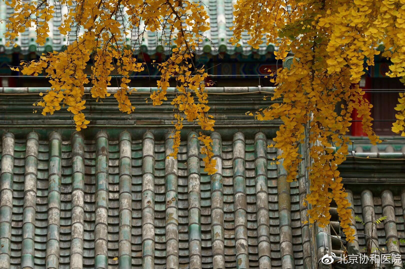 对病人充满爱心,为什么不能对病人有同情心