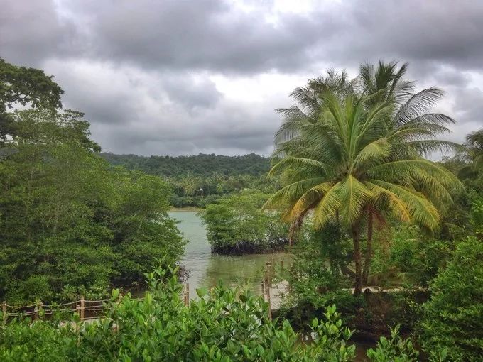 衣冠不整恕不招待厨师,衣冠不整不让进的饭店