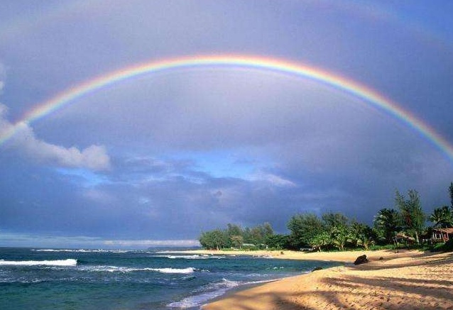 玩彩趋势分析,走心彩走势图分析技巧