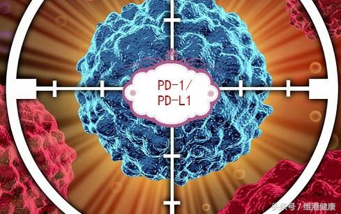 pd-1抗癌药物有没有效果,抗癌特效药各大医院卖不卖