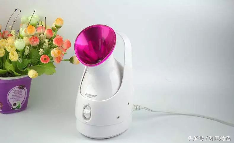 泰东蒸脸器和金稻蒸脸器哪个好些,冷热蒸脸器好用还是热蒸脸器好用