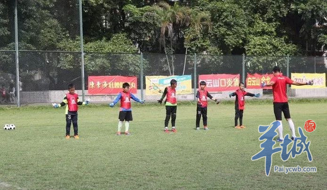 广州市青少年足球培训服务指引,广州市白云区青少年足球培训