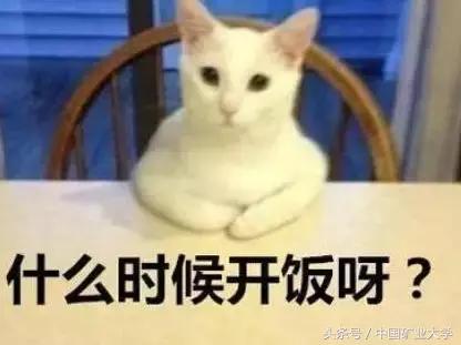 小煤球教程完整版,小煤球使用方法