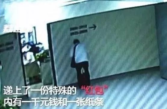 董卿跪,董卿下跪的节目