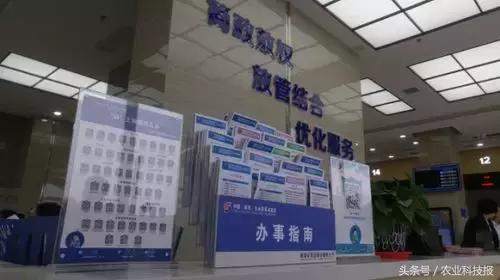 蝶变西安,富平农村蝶变