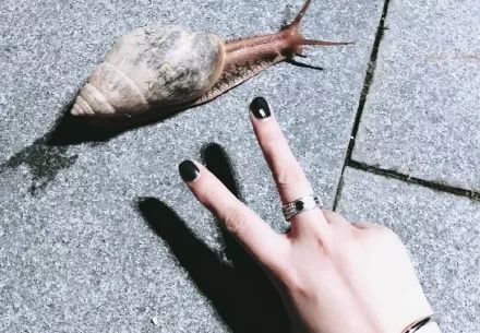 蜗牛身上有好多特别特别小的虫子,碰到那么小的蜗牛会有寄生虫吗