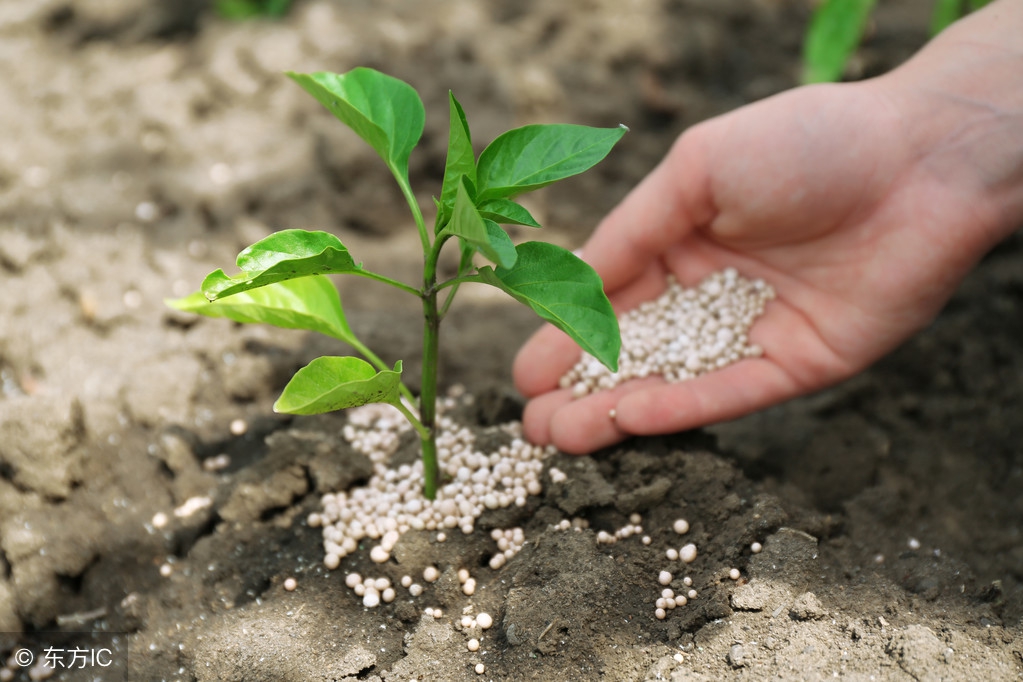 肥料之间有排斥盲目混用危害大,肥料复配后发生拮抗怎么办