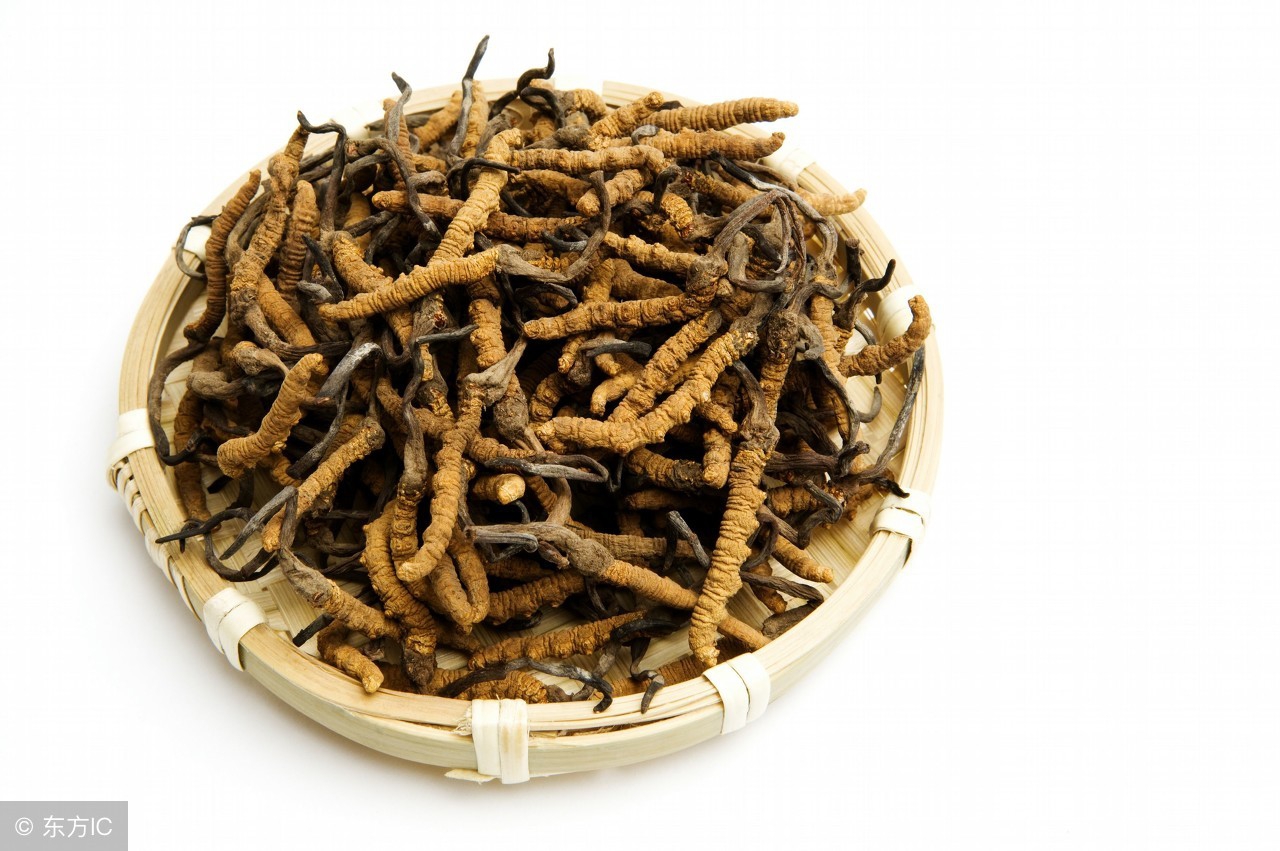 这四种农村野味，第二种被称为树上燕窝，女性吃了它美容养颜！