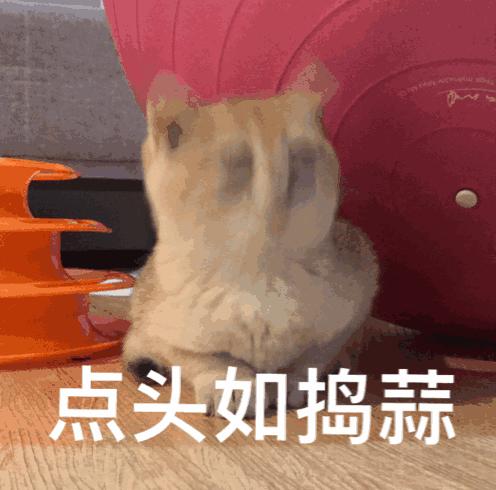 赣州象棋十大高手,中国特级象棋大师