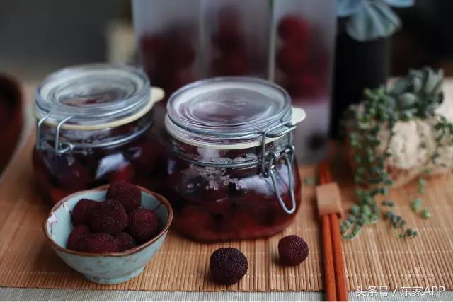 又到野生杨梅成熟的季节,又到了杨梅采摘季节