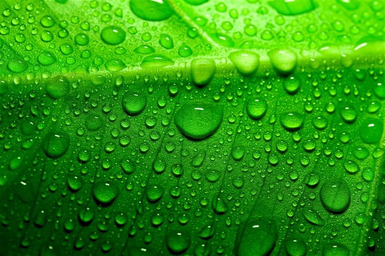 人生过得太窝囊,人生很短不要活得太窝囊