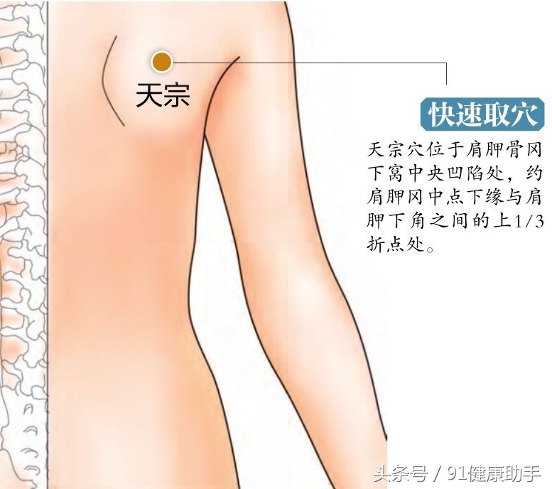 穴位肩周炎,肩井穴天宗穴疼痛女性