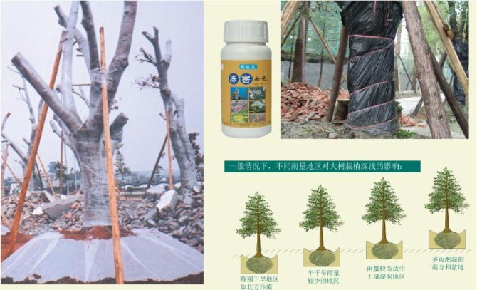 园林工程造价全套视频教程,园林工程预算及造价清单