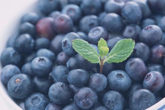 3岁宝宝突然肚子疼的撕心裂肺,3岁宝宝肚子疼的直打滚