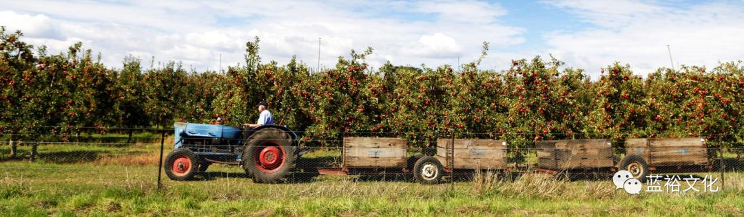 澳大利亚中国新兴产业,澳大利亚国家吸引移民的原因