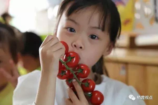 栖霞区实验学校怎么样,南京栖霞学校怎么样