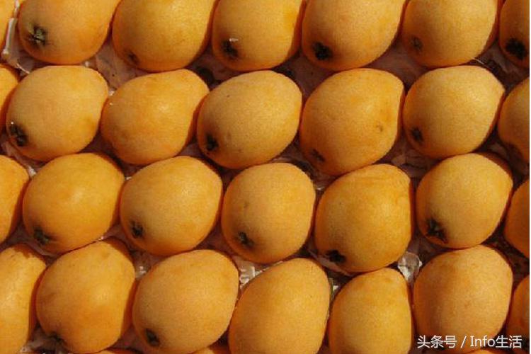 吃了枇杷过后指甲黄怎么办,黄了枇杷