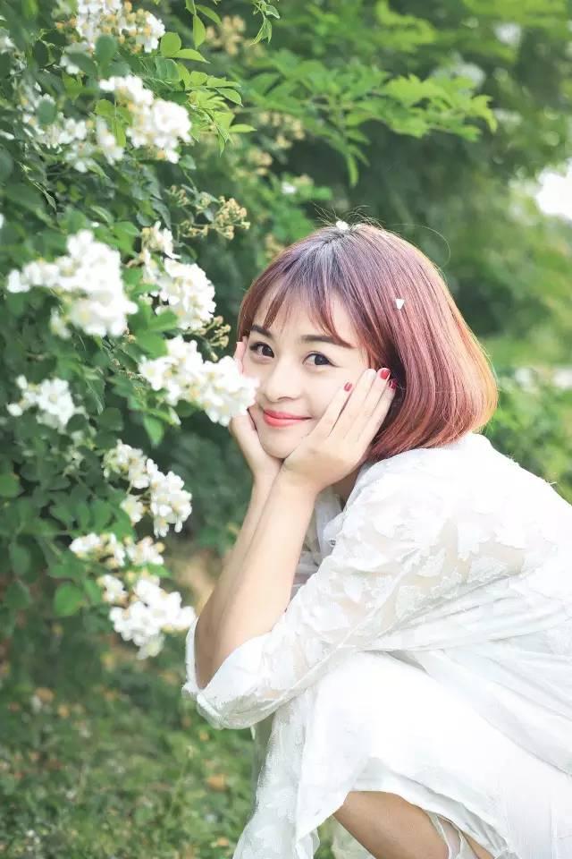 玫瑰月季和月季有区别吗,玫瑰月季如何区别品种图解