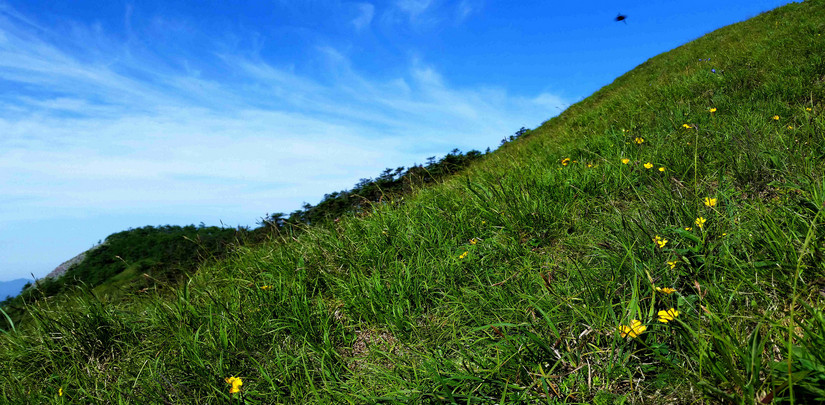 天华山-秦岭梁，又一条风景秀美的一日劲走线路
