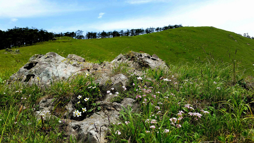 天华山-秦岭梁，又一条风景秀美的一日劲走线路