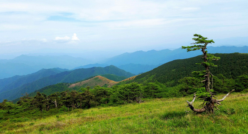 天华山-秦岭梁，又一条风景秀美的一日劲走线路
