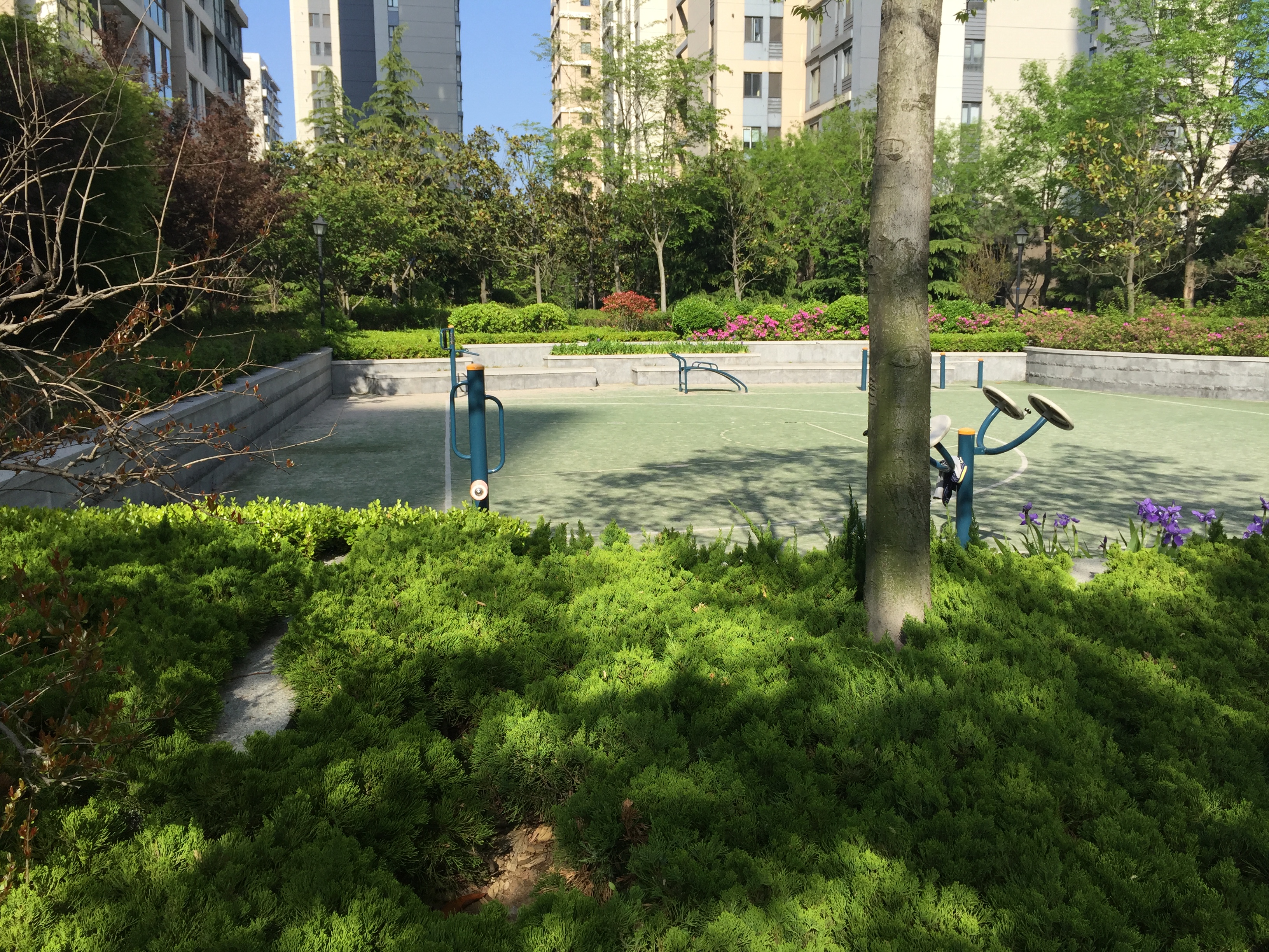 青岛崂山区麦岛金岸,青岛沿海房产