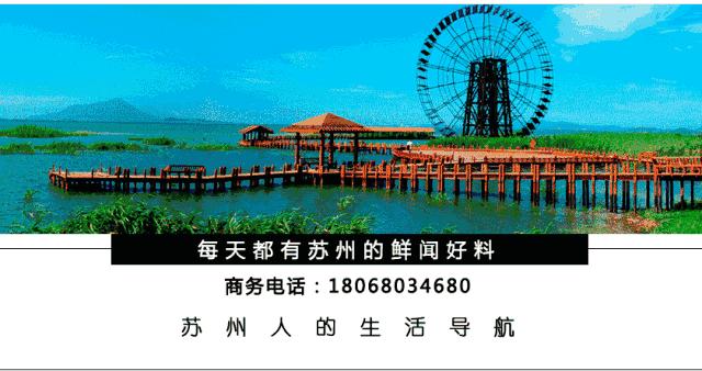 已爆雷的p2p名单,p2p最新爆雷平台