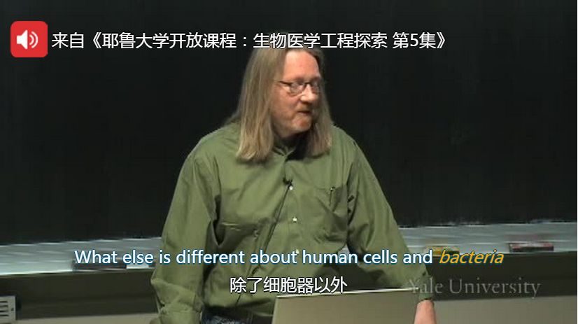 要背到多少单词才能不用背单词,不用背单词一个方法熟记800个单词