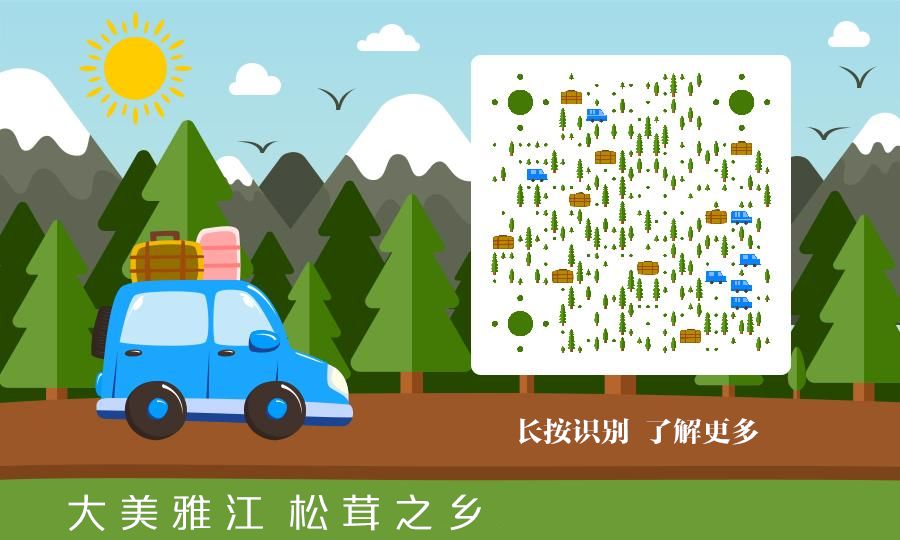 「读YA」“不知名”的万里墨香——德格印经院