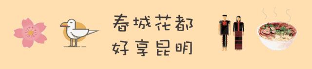 石林是喀斯特地貌的精华吗,云南石林喀斯特地貌特征