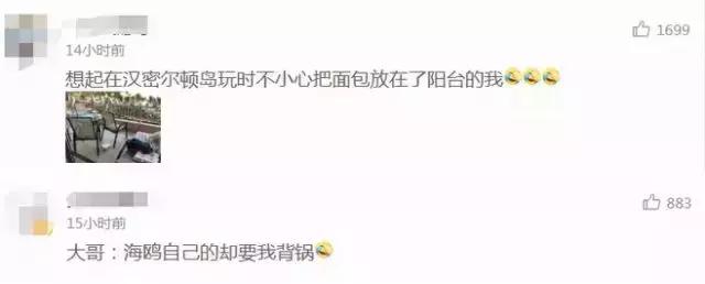 男子被酒店拉黑,男子在走廊上晒香肠