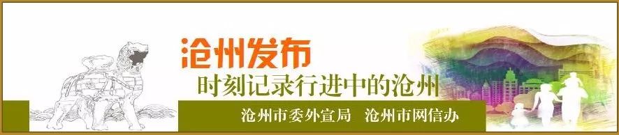 沧州市公交公告,最新沧州公交新消息