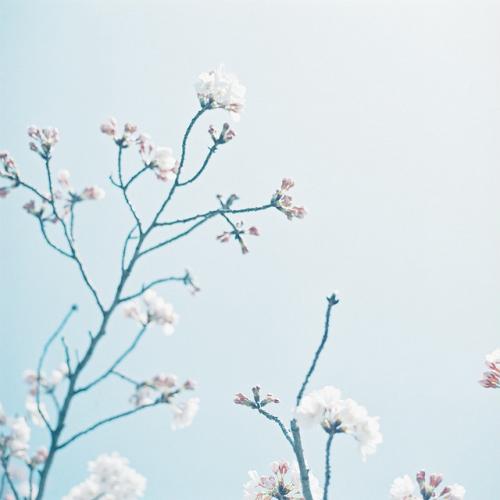 主播怎么回应黑粉,网络主播遇到黑粉怎么办