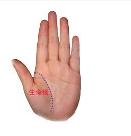 女性右手十字纹和通天纹,五条手纹的命运