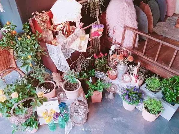 为喜欢自拍的小仙女打造的咖啡店！据说90%的韩国妹子都去打过卡