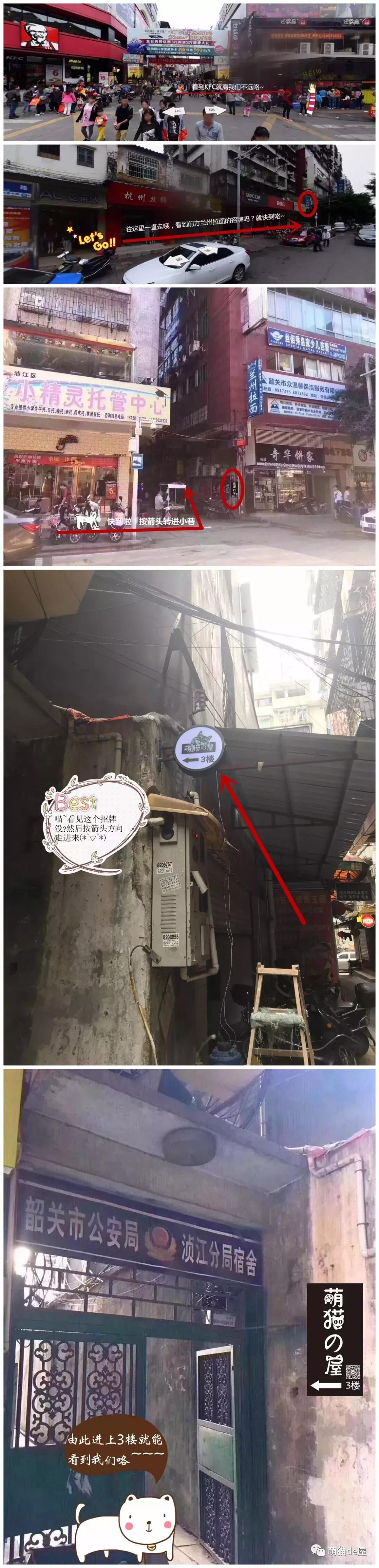 喂！妖妖灵吗？韶关这条巷子内有人聚众吸猫！已经有人沦陷了……