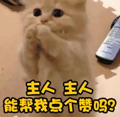 最近安溪铁观音行情,安溪铁观音秋茶火热上市