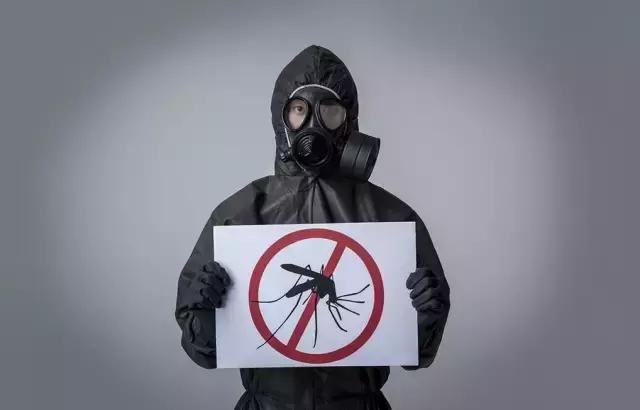 天热了怎么有效驱蚊子,天热驱蚊虫方法